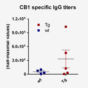 CB1 specific IgG titers